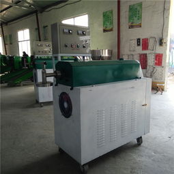 智能红薯粉条机 工厂直供的免洗红薯粉丝生产解决方案